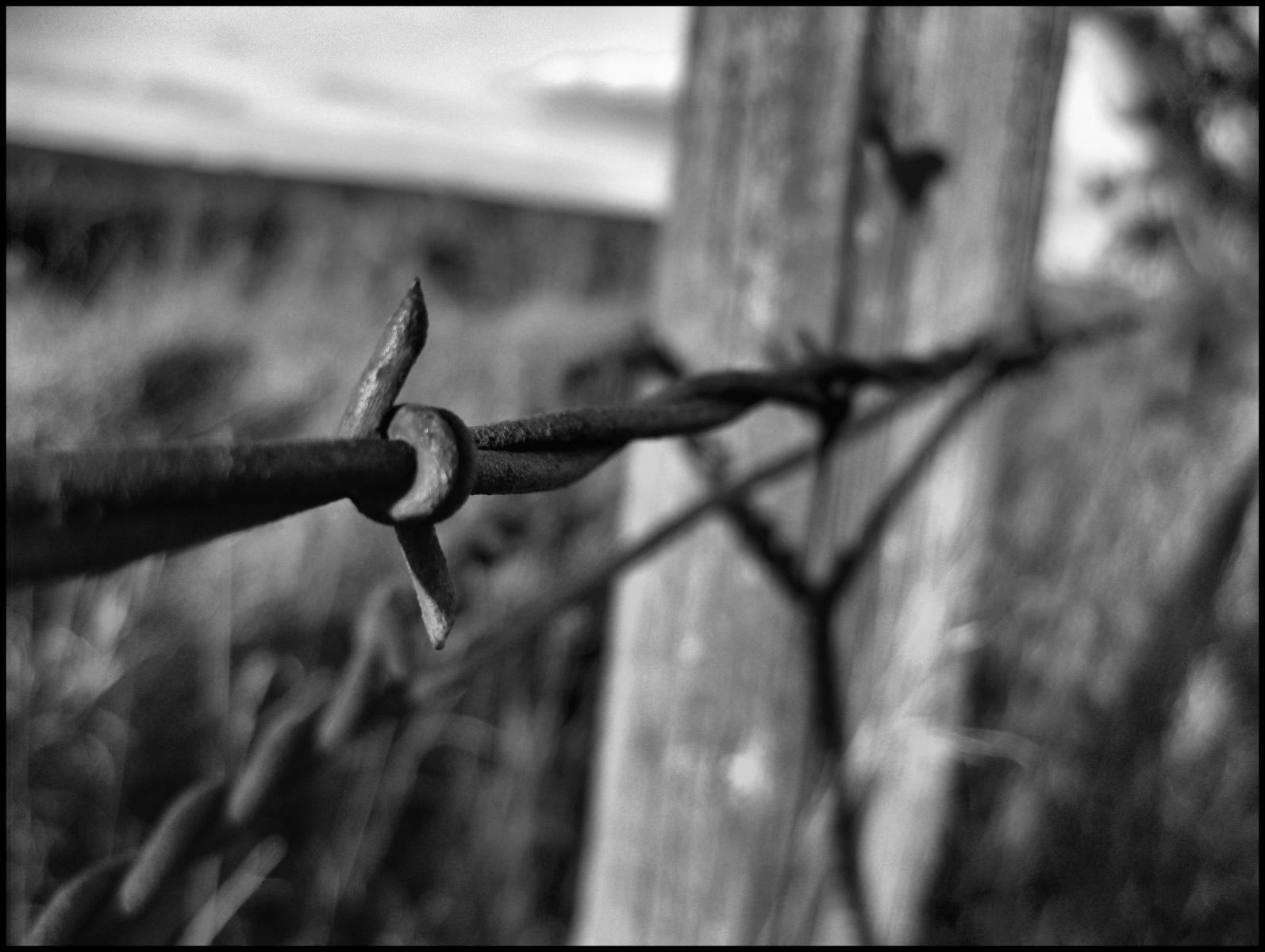 Barbed Wire Fence in Nebraska